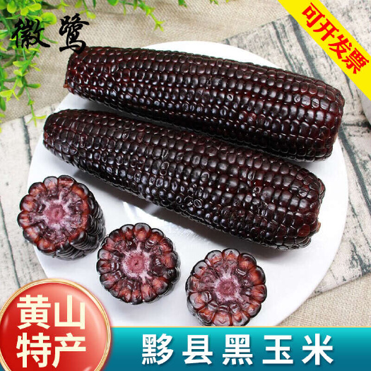 黄山黟县黑糯玉米香甜安徽特产五黑农产品整根独立包装