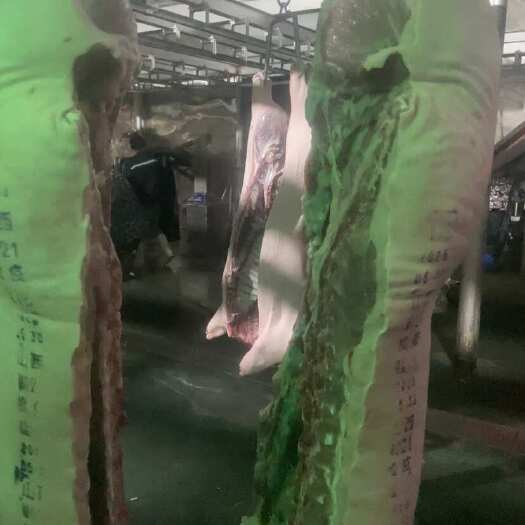 闻喜县厂家直销猪白条，分割品，副产种类多多欢迎咨询