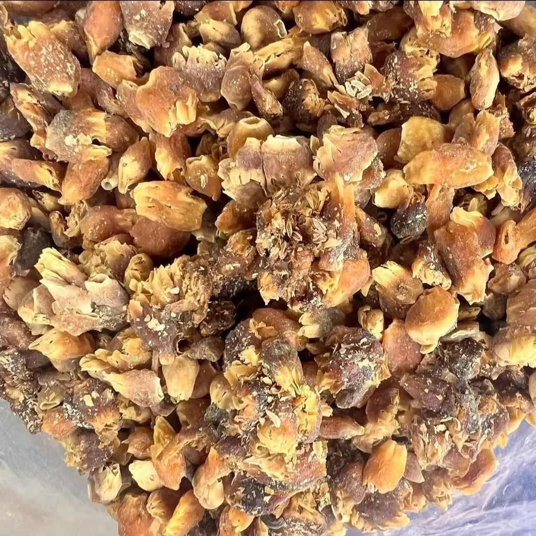 缅神花 金莲子 金莲籽产地货源 一件代发