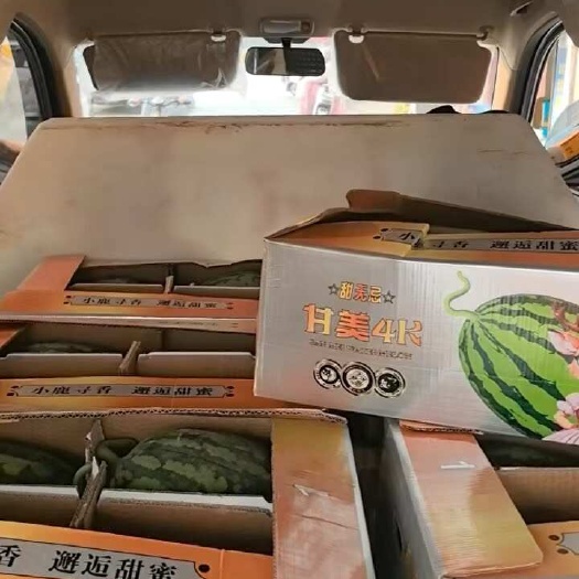 东台市江苏盐城东台市优质无籽甘美4K西瓜新鲜现摘现发
