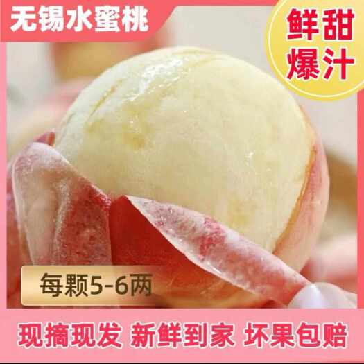 常州无锡阳山水蜜桃新鲜直发
