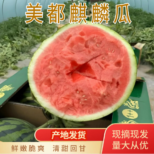 宜良县云南昆明 美都麒麟瓜 鲜嫩脆爽 清甜回甘 饱满多汁‌