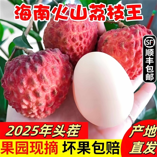 灵山县广西/海南永兴火山荔枝王巨无霸新鲜大荔枝现摘现发超大时令水果