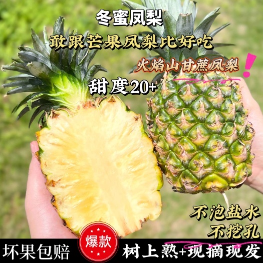 树上熟冬蜜凤梨 海南三亚新鲜水果牛奶菠萝手撕纯甜当季