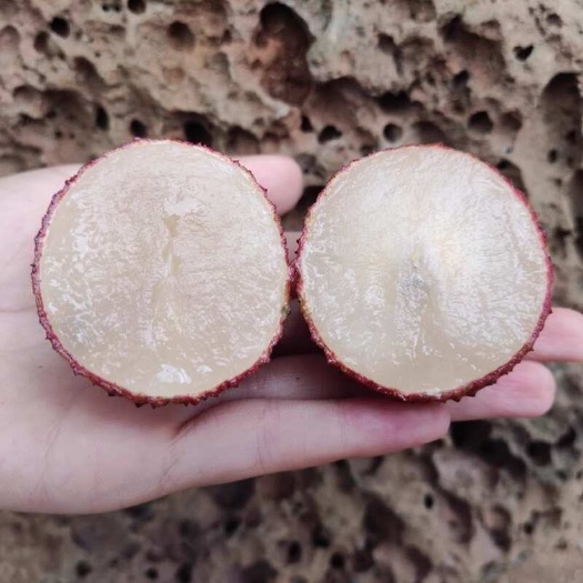 海口海南澄迈无核荔枝礼盒装并蒂双生荔枝高端送礼空运包邮坏果包赔