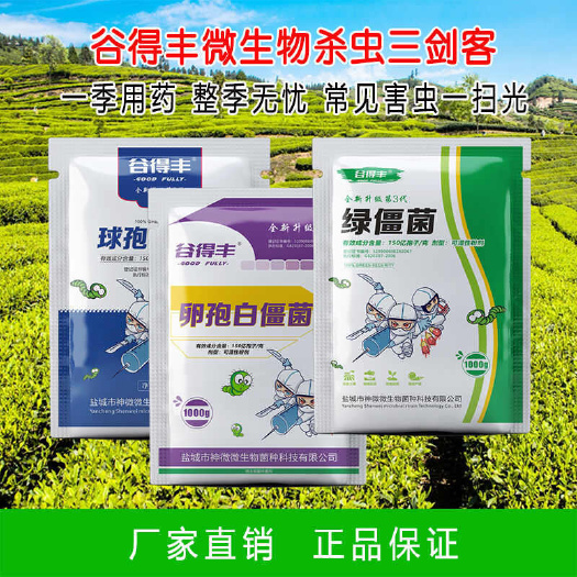 长沙球孢白僵菌绿僵菌菌剂农用广谱杀光虫剂常见害虫无毒防虫青虫