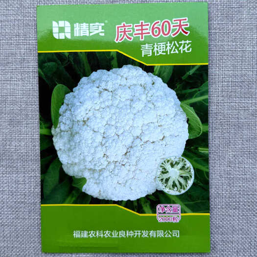 青梗松花菜种子 庆丰60天 65天花椰菜种子 花球白美