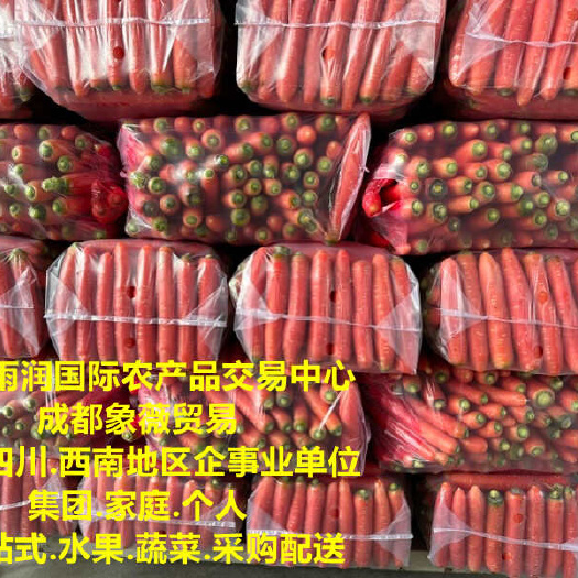 彭州市四川本地胡萝卜自有基地直供.四川成都水果蔬菜批发.生鲜配送