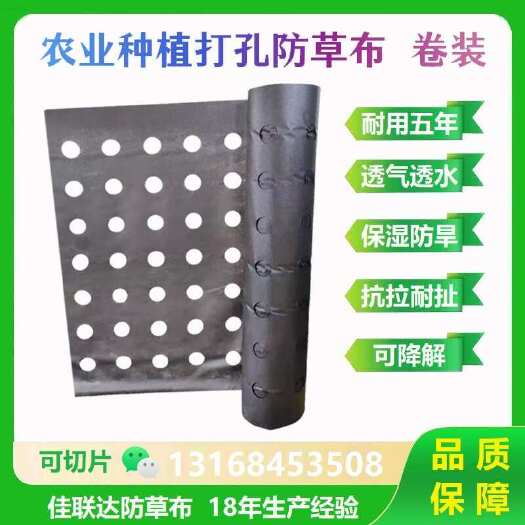 东莞市中药材打孔防草布 花奔生态种植除草布 蔬菜种植防草布透气透水