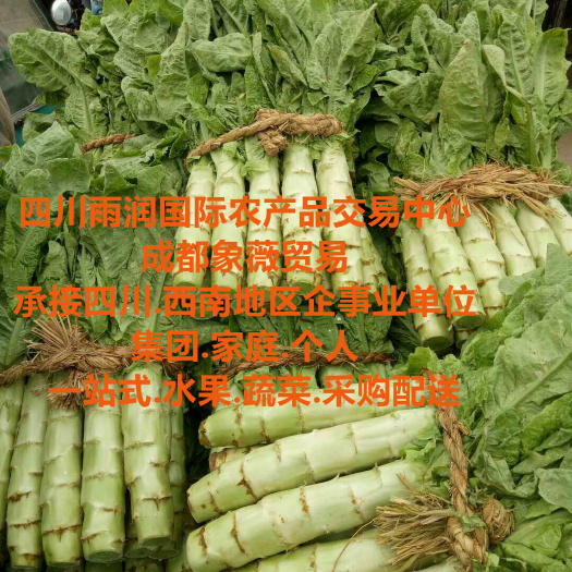 四川本地莴笋自有基地直供.四川成都水果蔬菜批发.生鲜配送