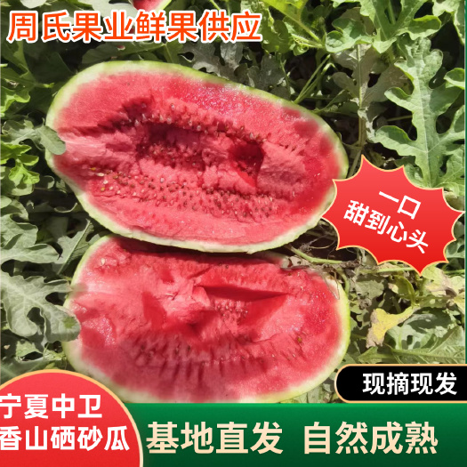 正宗宁夏中卫硒砂瓜沙漠石头西瓜沙瓤甘甜汁水足石头西瓜