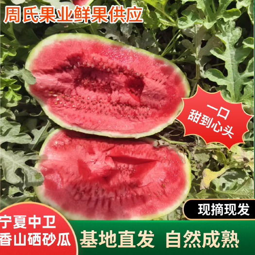 中宁县正宗宁夏中卫硒砂瓜沙漠石头西瓜沙瓤甘甜汁水足石头西瓜