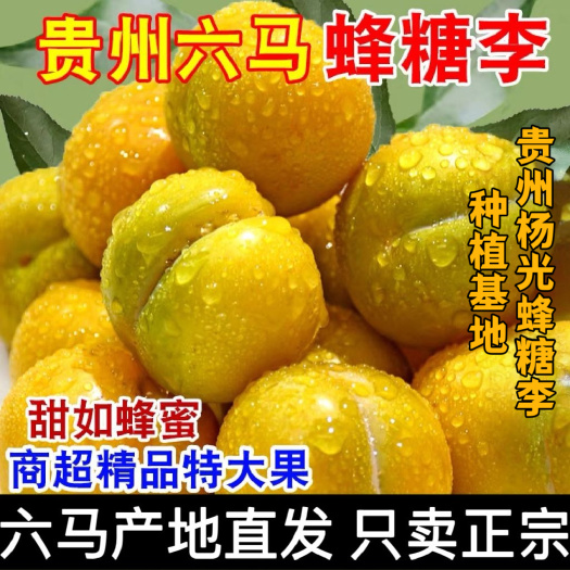 镇宁县蜂糖李包装整套贵州六马脆甜李子口感很好甜  像蜂蜜