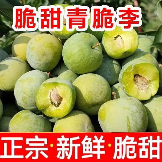 贵州六马四月李青脆李子茵红李脱骨李空心李现摘现发