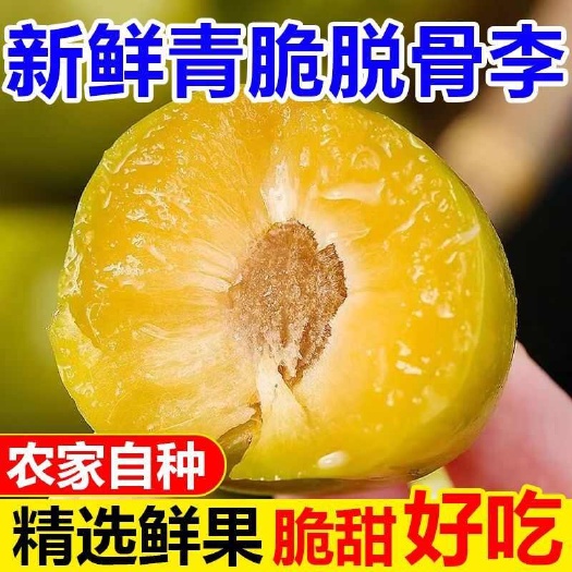 【不甜包赔】贵州四月青脆李茵红空心脱骨清脆李子