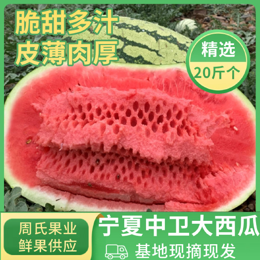 正宗中卫香山石头瓜大西瓜甜王西瓜薄皮多汁水现摘现发