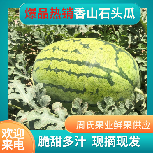 中宁县宁夏中卫香山石头瓜硒砂西瓜特大巨型超甜