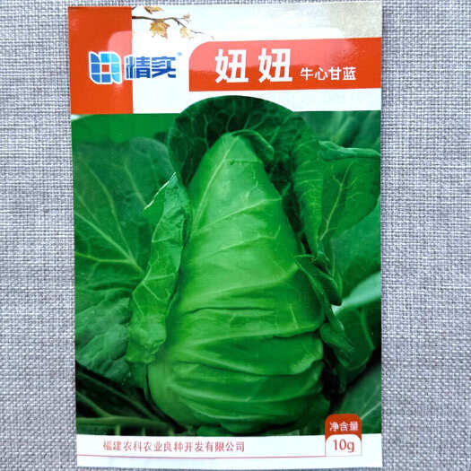 建瓯市妞妞牛心甘蓝种子 叶球收尖好 叶球亮绿有光泽 耐抽性强