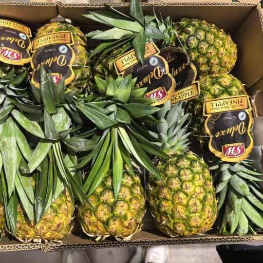菲律宾凤梨，一手货源，优惠出