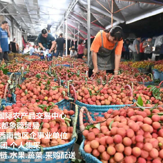 广西基地直采直供新鲜荔枝.四川成都水果蔬菜批发.生鲜配送