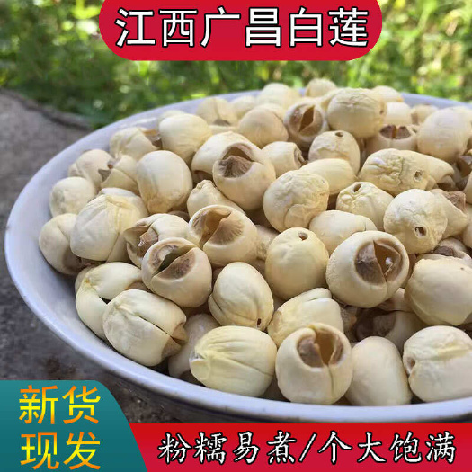 南丰县白莲之乡广昌正宗江西广昌白莲子通芯干货粉糯营养滋补无硫无漂白