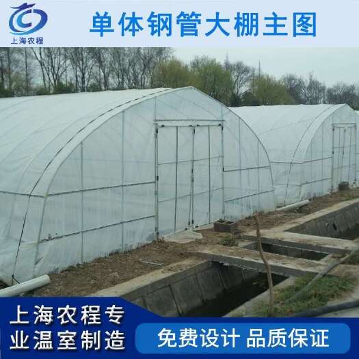上海联合六型单体钢管大棚单体蔬菜大棚