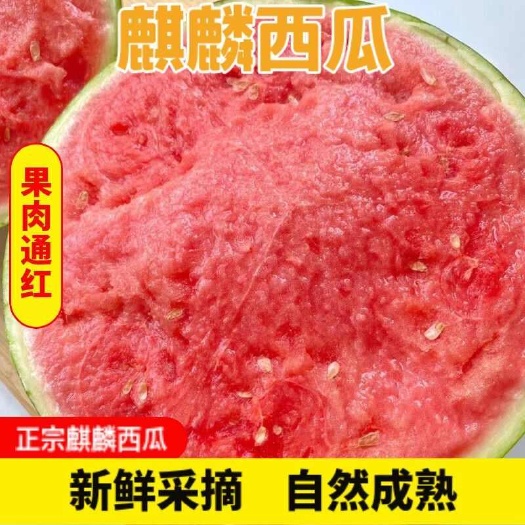 【现摘现发】正宗麒麟西瓜新鲜薄皮脆甜8424不甜包退
