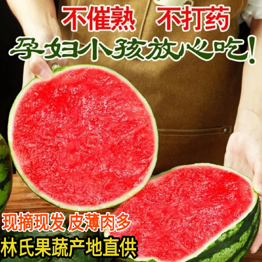 会宁县【现摘现发】正宗麒麟美都西瓜新鲜薄皮脆甜8424