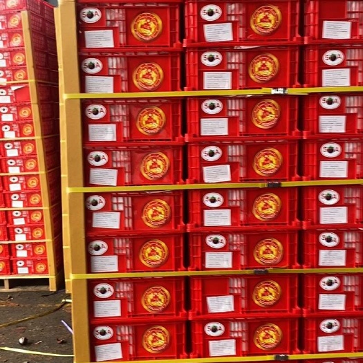 广州泰国山竹 4kg/7kg/7.5kg 红叶/麻竹/花竹/油竹