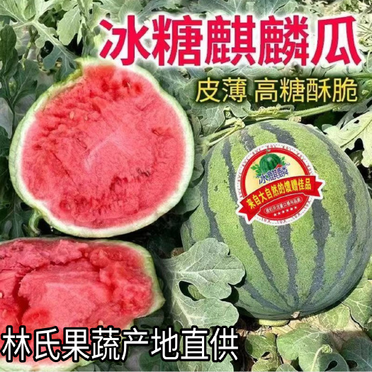 【正宗当季】冰糖麒麟西瓜8424美都现摘薄皮超甜产地直发