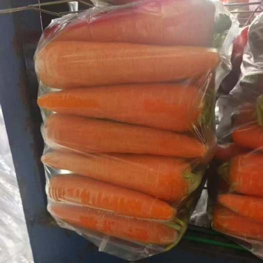 通许县中条