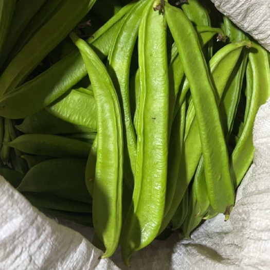 广西新鲜嫩刀豆产地直供市场批发，电商一件代发专车直发泡酸厂