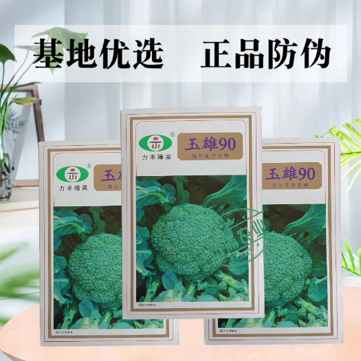 武汉【力禾种苗】玉雄90西兰花种子 中晚熟绿菜花基地优选西兰花种