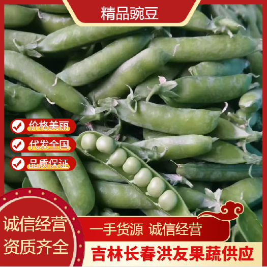 公主岭市吉林精品豌豆大量上市 颗粒饱满 基地直发