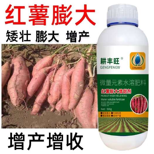 郑州红薯专用膨大素红薯叶面肥根茎膨大素甘薯木薯膨大剂地瓜增产增收