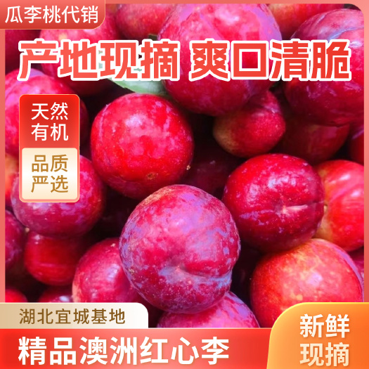湖北宜红宝石李新鲜红心李酸脆甜奥洲红李产地直发