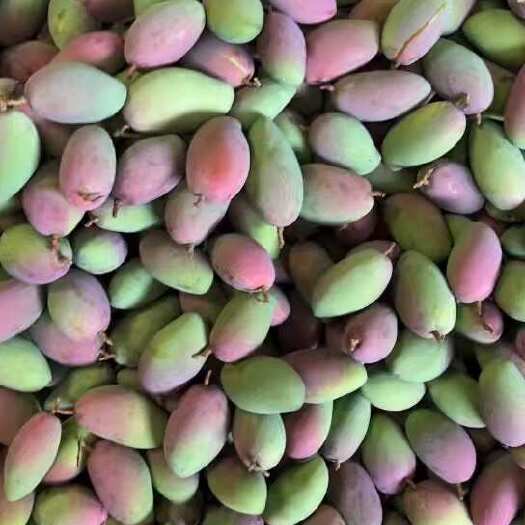 南宁贵妃芒芒果大量上市支持电商一件代发