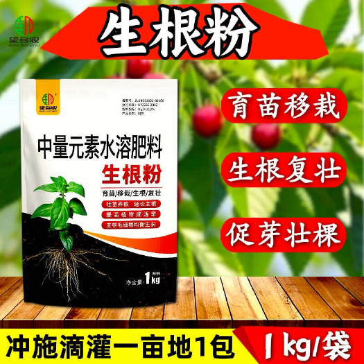 生根粉生根剂,根多根粗生根快生根养根