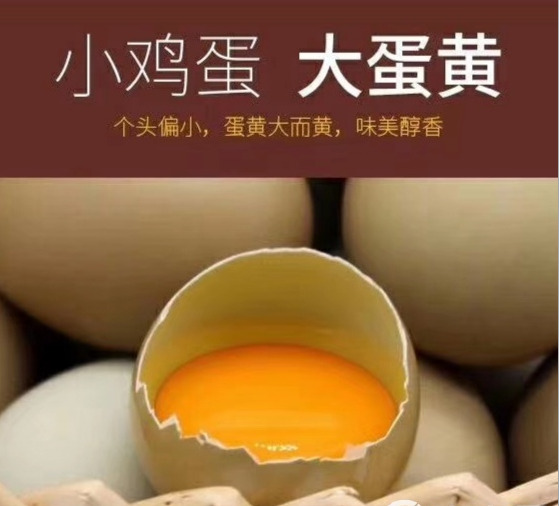 七彩山鸡蛋七彩鸡蛋初生蛋宝宝辅食月子餐鸡蛋礼盒