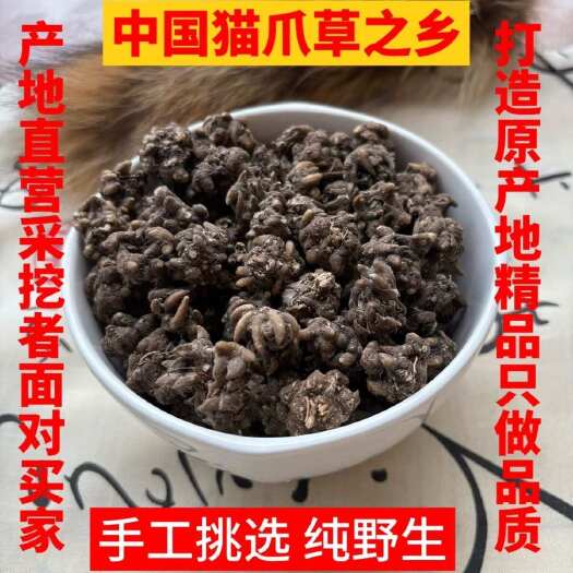 产地正品猫爪草 尖爪 水洗二遍 量大可谈 优惠一步到位