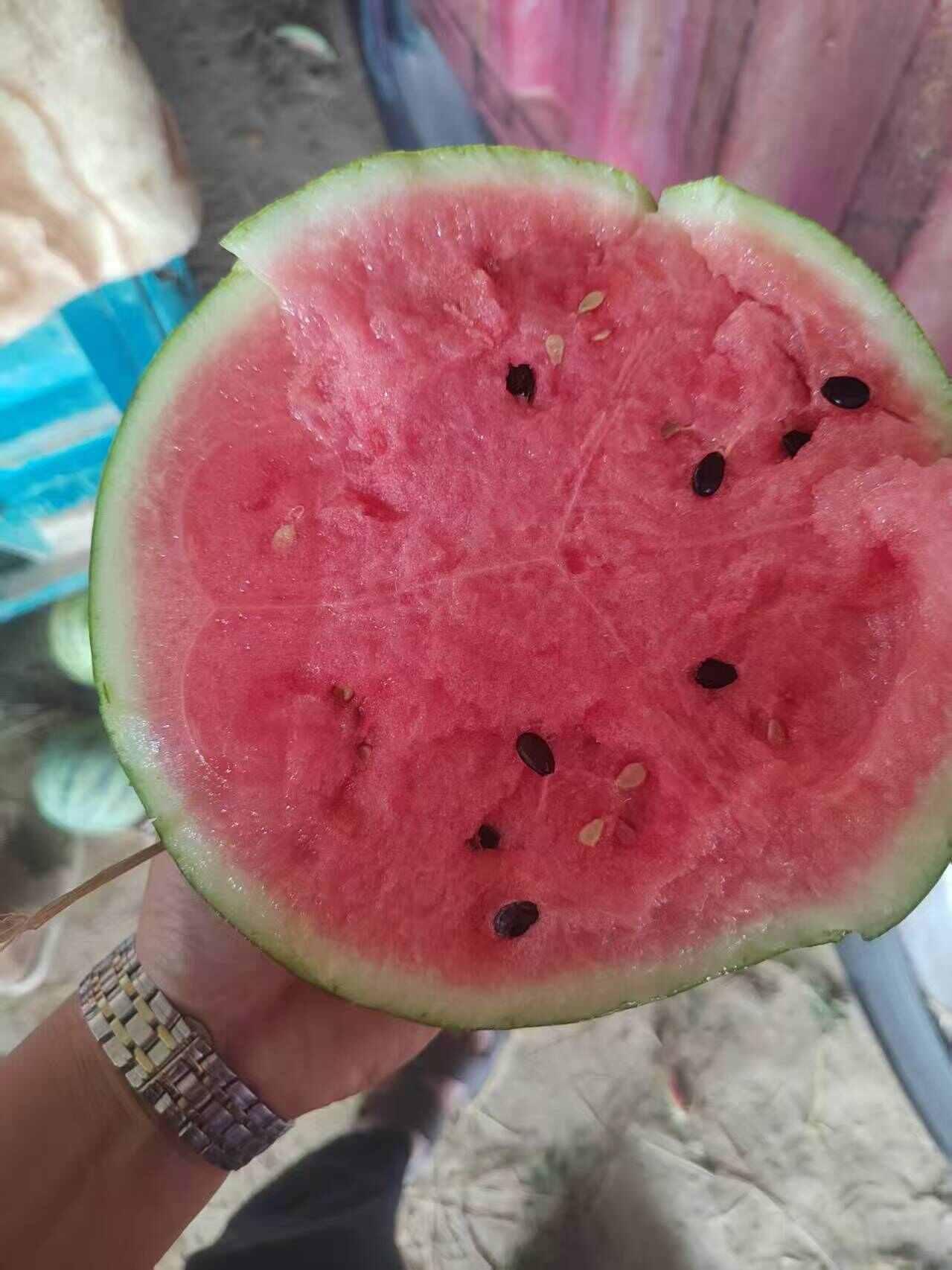 25年新瓜，产地直发美都西瓜，欢迎咨询，量大价优