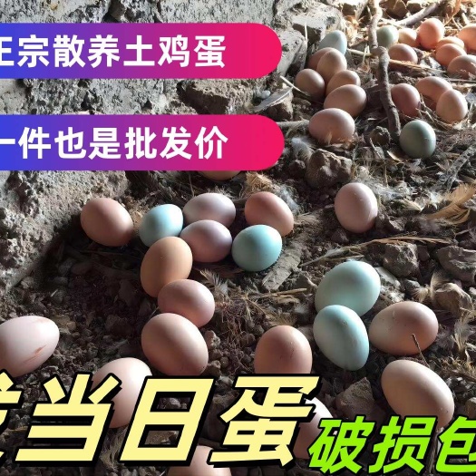 京山市新鲜土鸡蛋散养五谷土鸡蛋 散养土鸡蛋 土鸡蛋