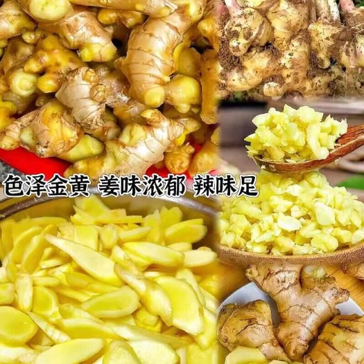 罗平县【无硫】云南高山农家小黄姜