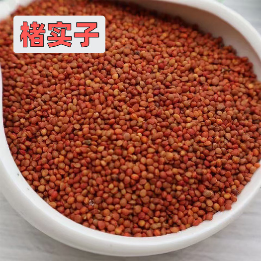 登封市楮实子·登封·