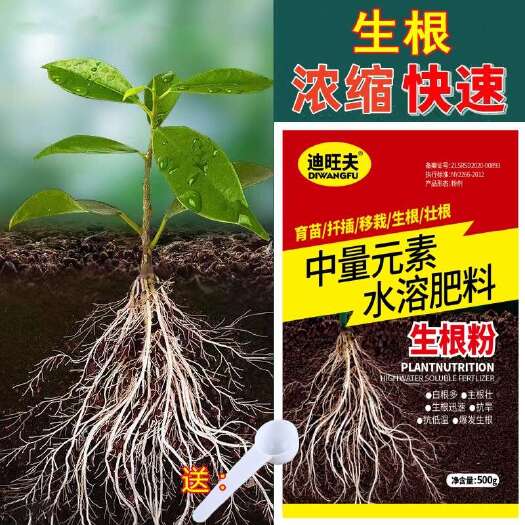 郑州快速生根粉植物通用生根剂扦插用树木快速强力生根粉发根剂生根液