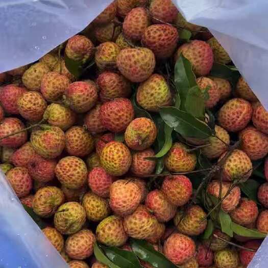 博罗县糯米糍桂味来啦