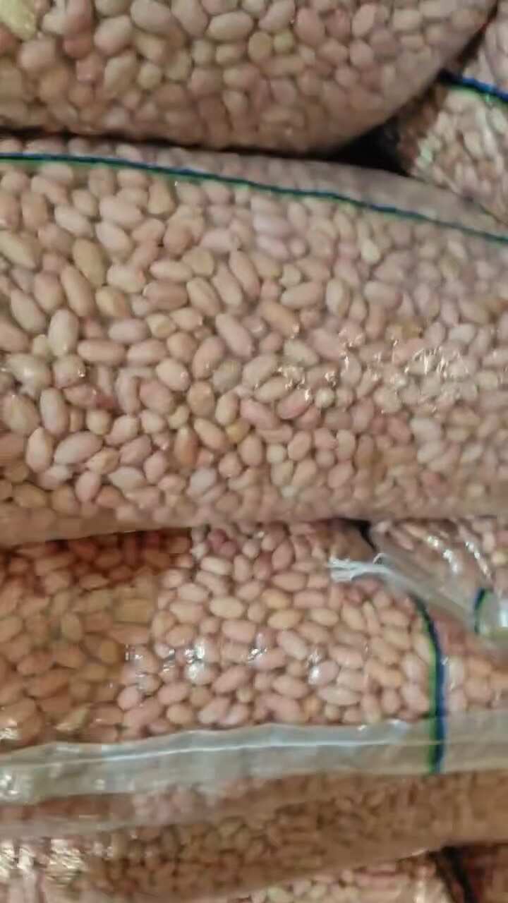 电商用货 7-8 规格米优质干花生米 支持坏损包赔与定制发货