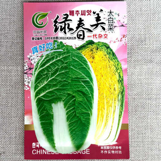 建瓯市绿春美大白菜种子 黄心大白菜种子 抗根肿大白菜种子