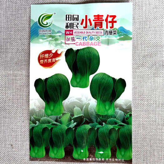 建瓯市小青仔青梗菜种子 矮脚青菜种子 生长速度快 甜嫩留香