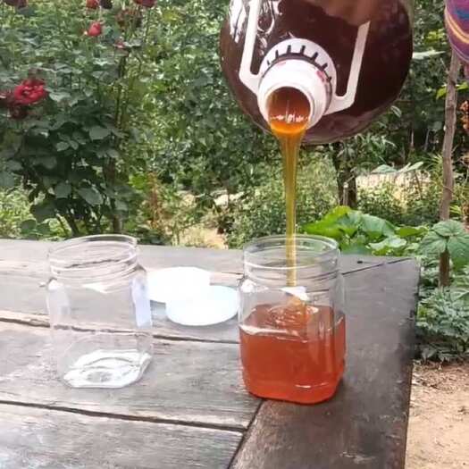洛南县出售秦岭大山土蜂蜜，老爸今年端午节刚收的土蜂蜜，和野生没区别